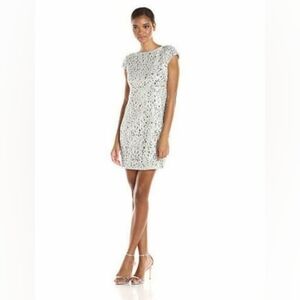 Adrianna Papell Size 10 Ultra Sparkly HAILEY dress